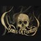 Sons Of Fortune