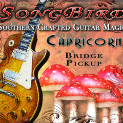 songbirdpickups