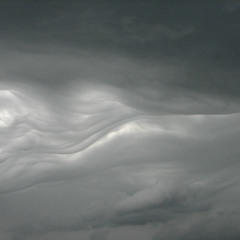 greyskyy