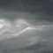 greyskyy