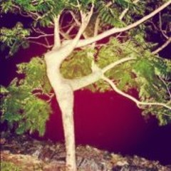 thethingwiththestuff