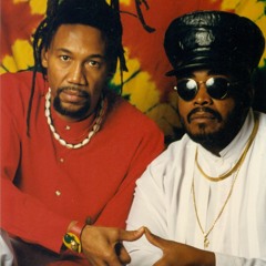 The Reggae Vibes Band