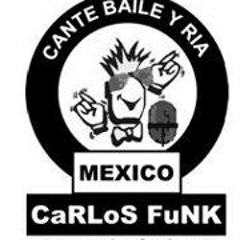 Carlos Funk