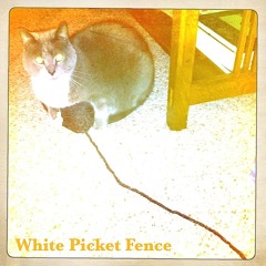 White Picket Fence
