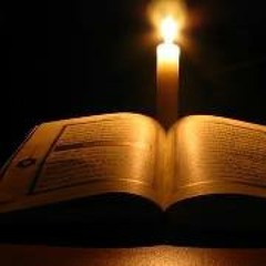 Tkr Le Consultann Junior