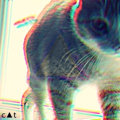 ki††y c▲t (next 2 hours)