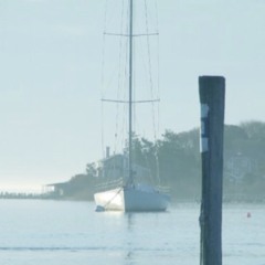 Make My Funk 2 Pfunk