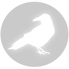 White Raven Audio