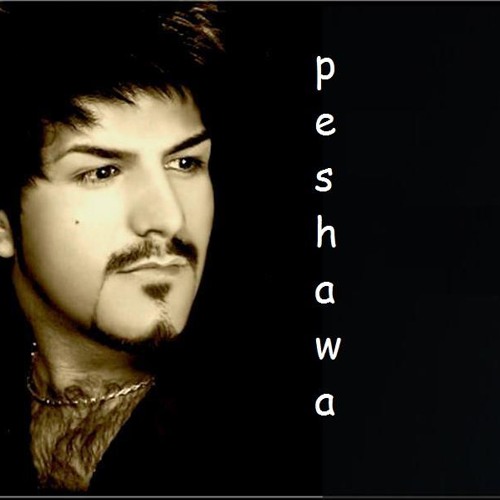 Peshawa Avareh’s avatar