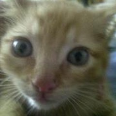 Javi Bermúdez Moreno