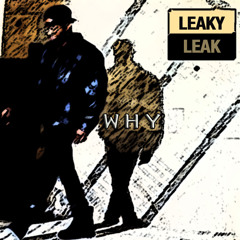 Leaky Leak