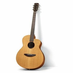 /// the Acoustic Spot