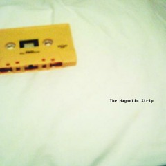 The Magnetic Strip