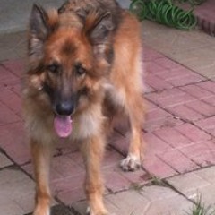 Arthur-fire Williams