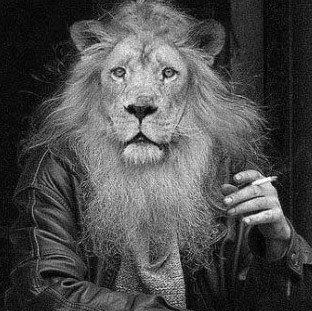 Will Hancock cover art