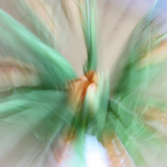 Bewegung