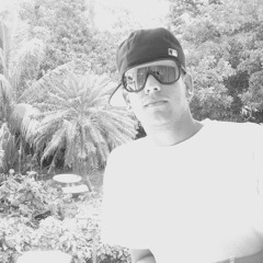 Viele (VnZ)NPstudio RI