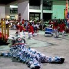 Sembawang Yi 三巴旺義旺龍獅团