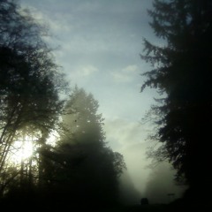 Northwestern songsmith