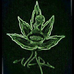 Lirical Canabis Forlive