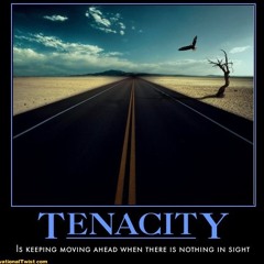 TeamTenacity