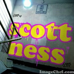 Scott Ness
