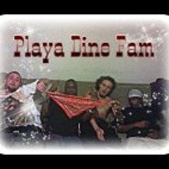 HankTin Plank'nStein