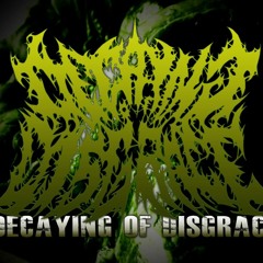 decaying of disgrace bd