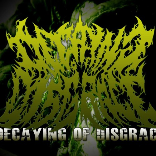 decaying of disgrace bd’s avatar