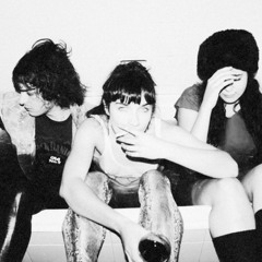 The Dollfins