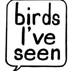 birdsiveseen