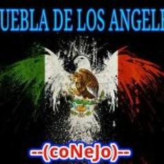 Conejo Morales F