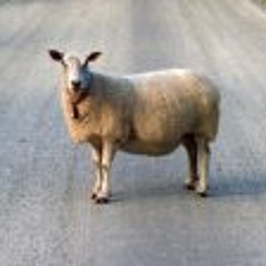 Bestemor