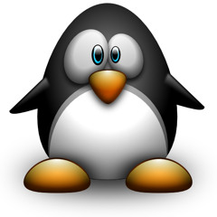 coincoin-pingouin