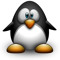 coincoin-pingouin