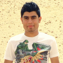 Mohammed Abo-Ghazala