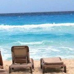 Carol McGinnis Hardy