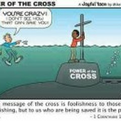 Marico Bigbiz Hawkins