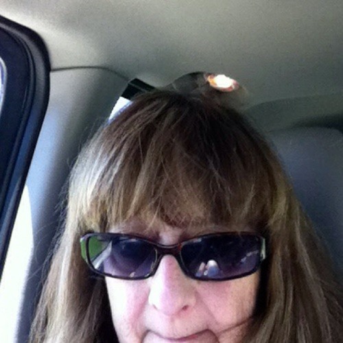 Stream boobsradley music | Listen to songs, albums, playlists for free