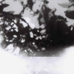 Jessica Ellen Fellas