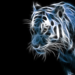 the blue_tiger