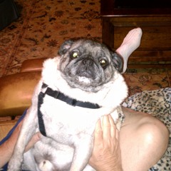 Clyde Harrison Lovelady