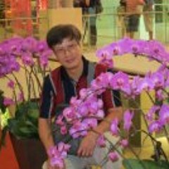 Ho Chee Wu