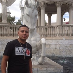 chiva41