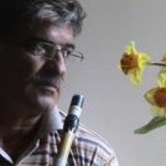 Abbas Shayegh