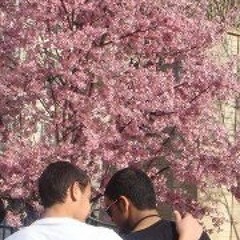 Yasir Uzunov Zadjali