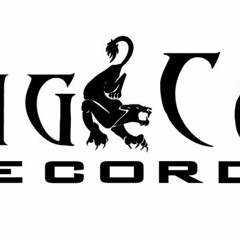 BIG CAT Records