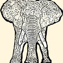 Elephant Gerald Jazz