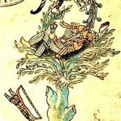 JahvierAlpha Motzin Bwoy