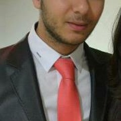 Houssam Eddine Illarzg